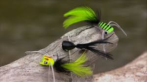 Bass On A Fly Orvis Guide To Fly Fishing