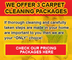 steam carpet cleaning services in