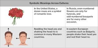 Cultural Symbols Values And Norms Course Hero