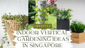 12 Best Indoor Vertical Gardening Ideas
