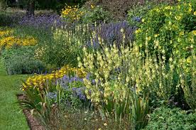 How To Plan A Border Rhs Gardening
