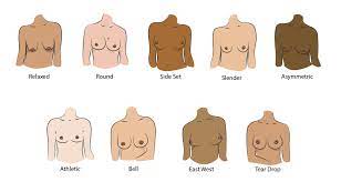 9 Breast Shapes And How To Support Them – WAMA Underwear