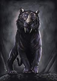 black tiger android wallpapers