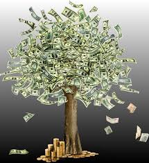 Image result for money tree