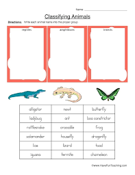 Reptiles And Amphibians Worksheet Reptiles Amphibians Worksheet
