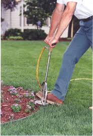 Lawn Care And Weed Control In Cary Nc