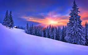 Beautiful Winter *** - Winter & Nature Background Wallpapers on Desktop  Nexus (Image 1651733)