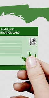 Maybe you would like to learn more about one of these? Blog A Green Relief Orlando Medical Marijuana Doctor
