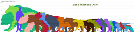 Animal Size Comparison Chart Animal Pictures Height Chart