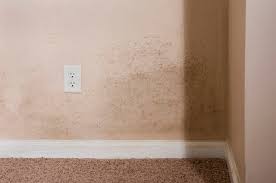 What Is Mold Resistant Drywall Hunker