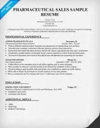 Sample CIO Resume from Executive Resume Writer   IT Resume Writer     specialist knowledge    