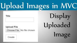 display image in asp net mvc