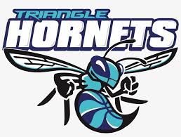 You can download in a tap this free charlotte hornets logo transparent png image. Hornet Logo Charlotte Hornets Png Image Transparent Png Free Download On Seekpng