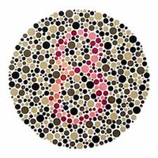 Ishiharas Colour Blindness Book 14 Plate