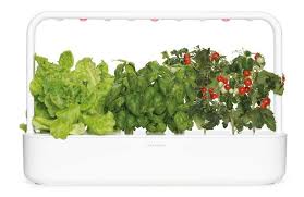 The Seven Best Indoor Herb Garden Kits