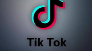 Los vídeos de TikTok más virales de este año 2020