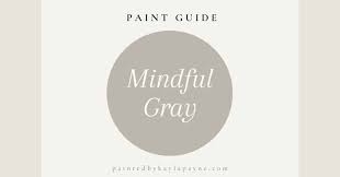Sherwin Williams Mindful Gray Paint