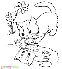 28 sketsa gambar kucing dan kelinci gudangsket. Sketsa Kucing Radea