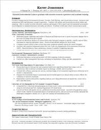 Sample Business Analyst Resumes Analyst Resume Template Awesome