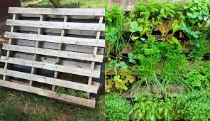 How To Make A Wooden Pallet Vertical Garden