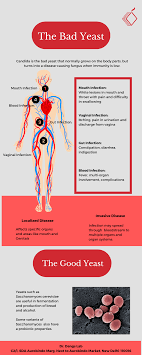 candida infographic 1 png