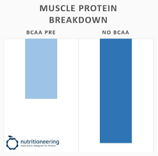 taking bcaa and pre workout together