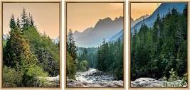 Amazon.com: IDEA4WALL Framed Canvas Print Wall Art Colorado Forest ...