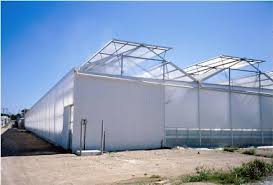 Polycarbonate Greenhouse Nz Harford