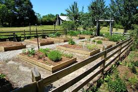 Vegetable Garden Ideas To Grow Your Own