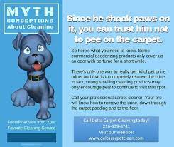 pet urine carpet cleaning specialist