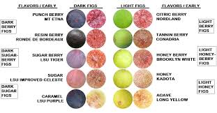 Basic Fig Flavors Pulp Skin Colors Mountain Figs