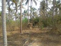 Finding farming land for sale is a difficult task. Agriculture Land For Sale In Udupi Farm Land For Sale In Udupi