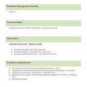 Technical Resume Format  Functional Skills Resume Examples    