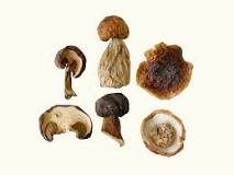 Do dried mushrooms have more flavor?