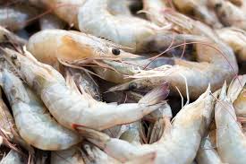 17 Different Types of Shrimp that You Can Eat (or Not) - Home Stratosphere
