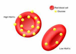 hba1c blood test as an effective tool