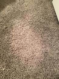 purpleish bleach stain on carpet