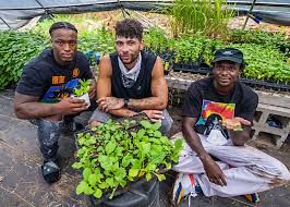 Black Lives Veggies Plants Seeds Of