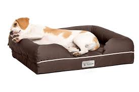 the 9 best orthopedic dog beds of 2024