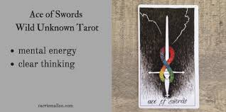 ace of swords wild unknown tarot