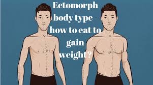 Ectomorph Body Type How To Gain Weight Sample Ectomorph