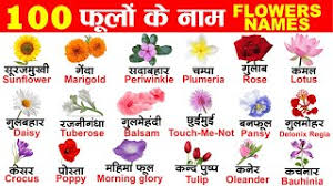 100 flowers name in english and hindi