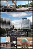 Things to do in Silver Spring, Maryland