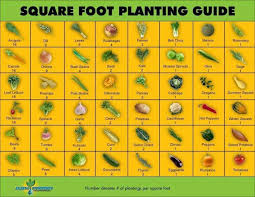 Square Foot Vegetable Chart How Many To Plant Per Square