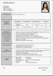 Awesome One Page Resume Sample For Freshers   Career   Pinterest    