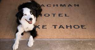 pet friendly hotels lake tahoe