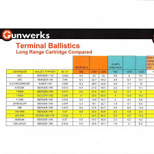 Gunwerks 28 Nosler Pro Build Limited Edition All Upgrades Case Ammo