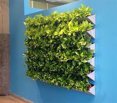 Living Green Walls Plantscape Inc