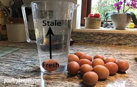How to tell if eggs are still good. How To Tell If Eggs Are Fresh Poultrykeeper Com