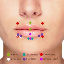 ear nose tongue lips piercing guide